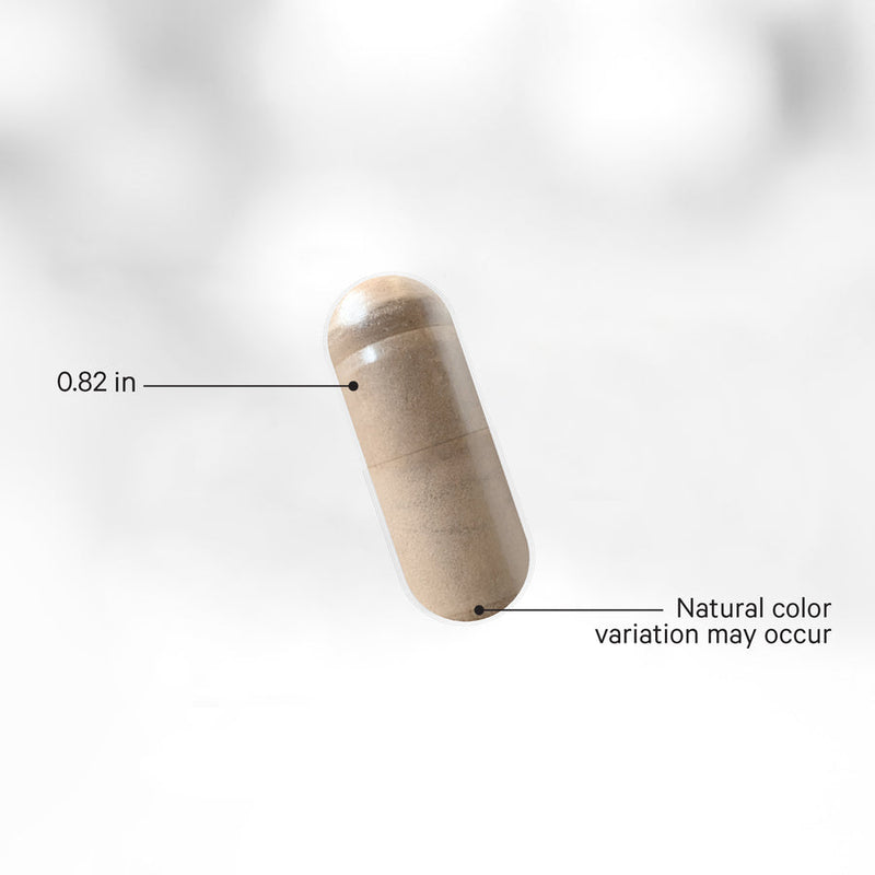 Load image into Gallery viewer, Codeage Grass Fed Beef Kidney
