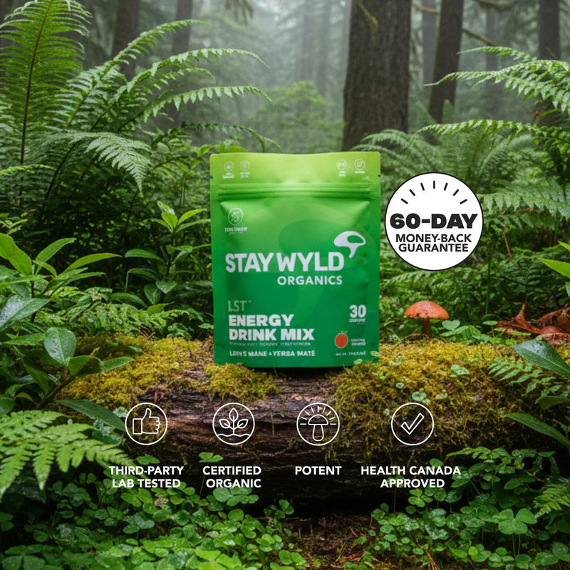 Load image into Gallery viewer, Staywyld Lion&#39;s Mane with Yerba Mate Ice Tea - LST (Liquid Shroom Tea)
