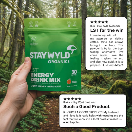 Staywyld Lion's Mane with Yerba Mate Ice Tea - LST (Liquid Shroom Tea)