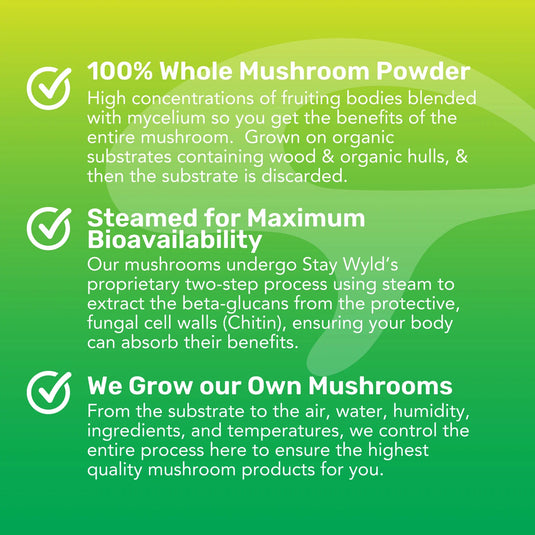 Staywyld Lion's Mane with Yerba Mate Ice Tea - LST (Liquid Shroom Tea)