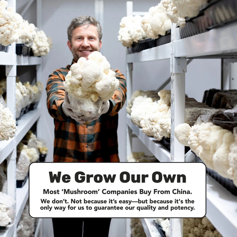 Load image into Gallery viewer, Staywyld LST Energy Strips 30 Pack
