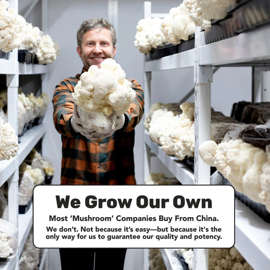 Staywyld LST Energy Strips 30 Pack