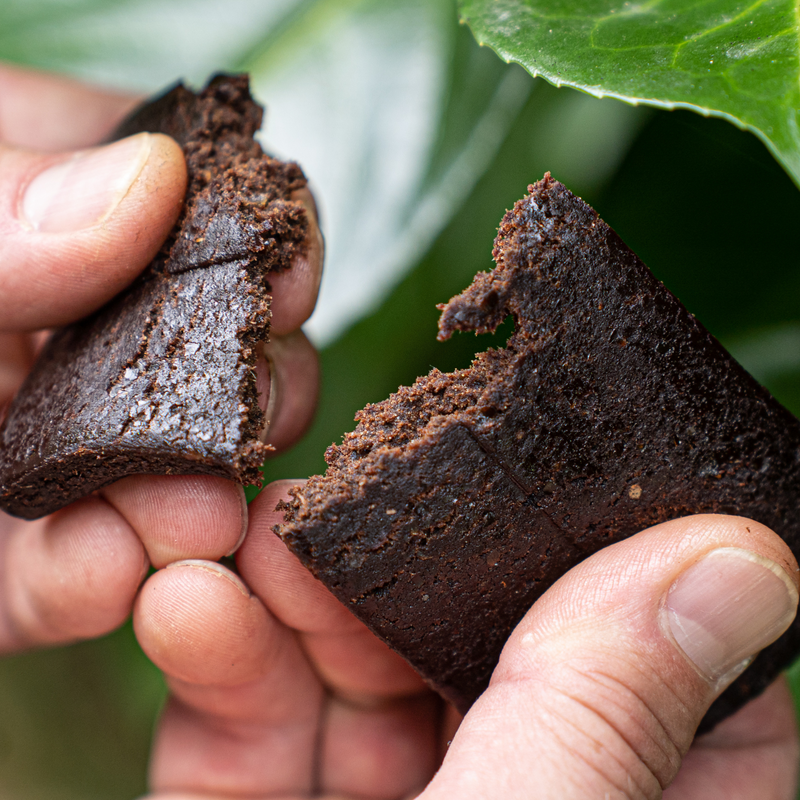 Load image into Gallery viewer, Next Level - the world&#39;s healthiest brownie 12 bars
