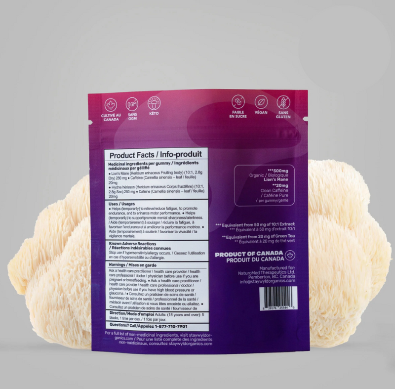 Load image into Gallery viewer, Staywyld Focused Energy Gummies 20 Pack
