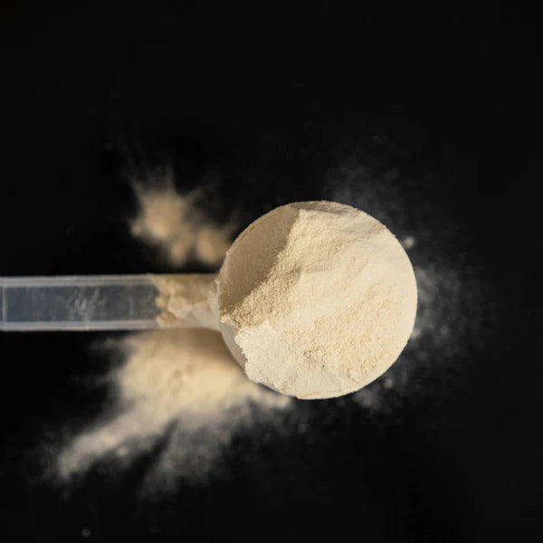 Load image into Gallery viewer, Näak Protein Powder - Vanilla
