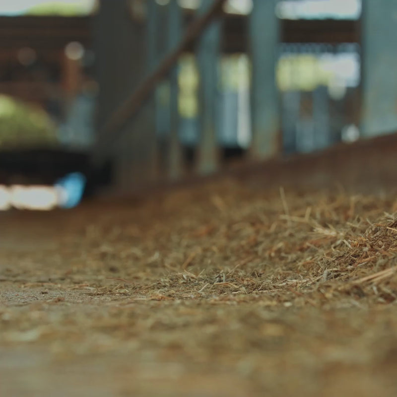 Load and play video in Gallery viewer, Codeage Grass Fed Beef Liver
