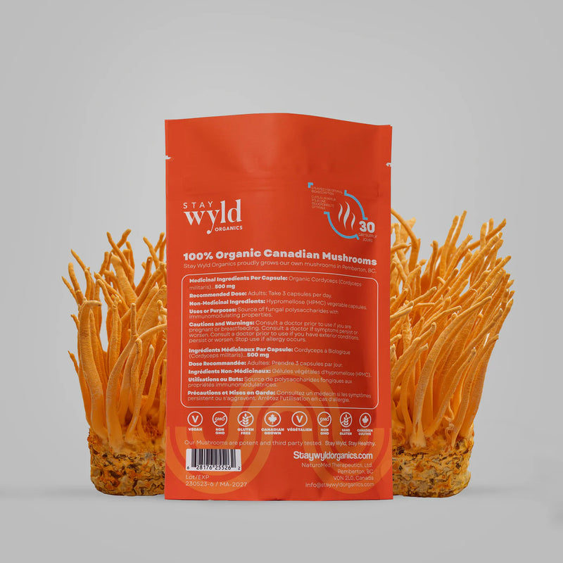 Load image into Gallery viewer, Staywyld Cordyceps Mushroom Capsules
