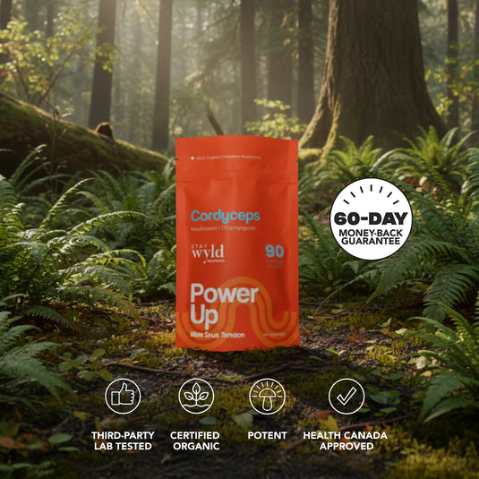Staywyld Cordyceps Mushroom Capsules