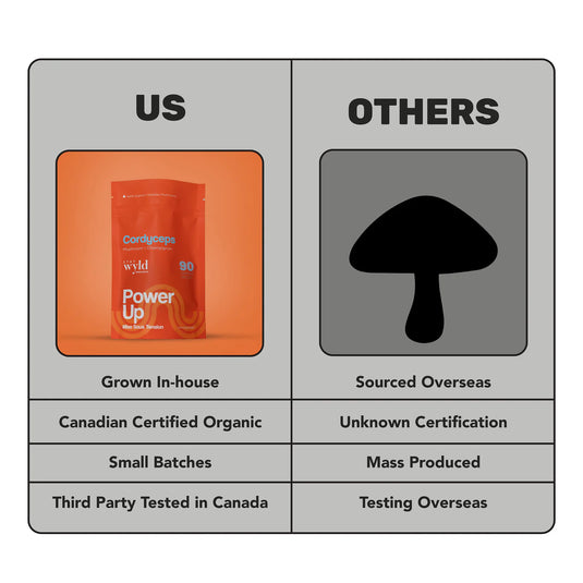 Staywyld Cordyceps Mushroom Capsules