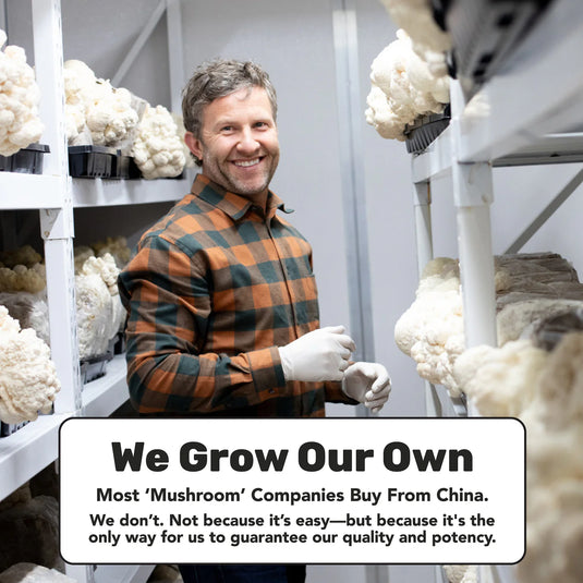 Staywyld Cordyceps Mushroom Capsules