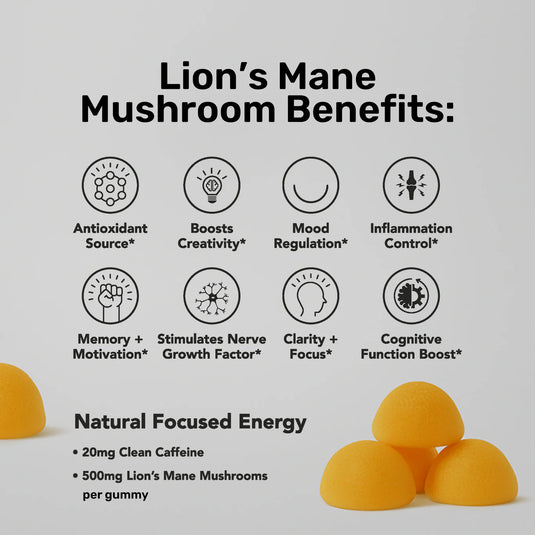 Staywyld Focused Energy Gummies 20 Pack