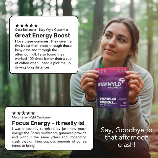 Staywyld Focused Energy Gummies 20 Pack