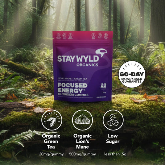 Staywyld Focused Energy Gummies 20 Pack