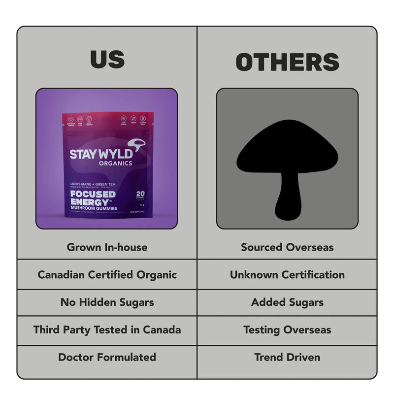 Load image into Gallery viewer, Staywyld Focused Energy Gummies 20 Pack
