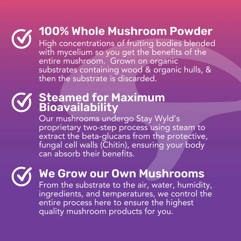 Load image into Gallery viewer, Staywyld Focused Energy Gummies 20 Pack
