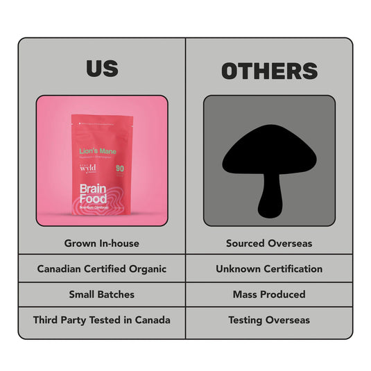 Staywild Lion's Mane Mushroom Capsules