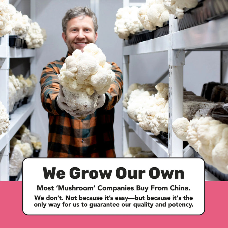 Load image into Gallery viewer, Staywild Lion&#39;s Mane Mushroom Capsules
