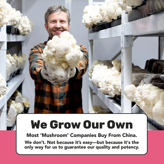 Staywild Lion's Mane Mushroom Capsules