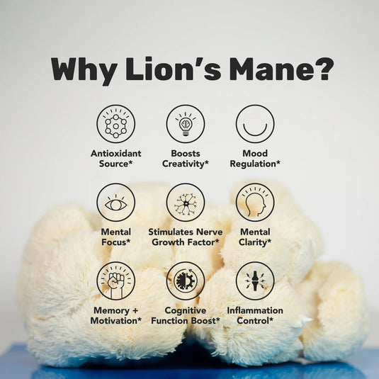 Staywyld Lion's Mane Mushroom Powder