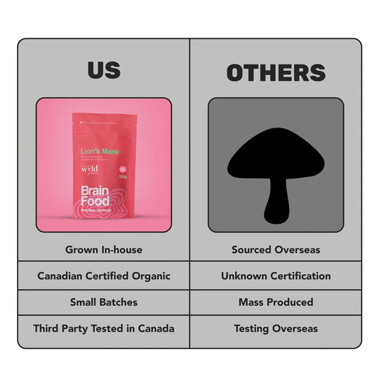 Staywyld Lion's Mane Mushroom Powder