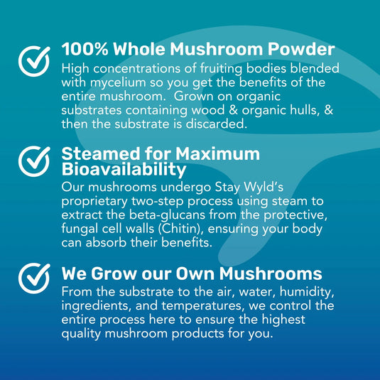 Staywyld Lion's Mane Gummies 30 Pack