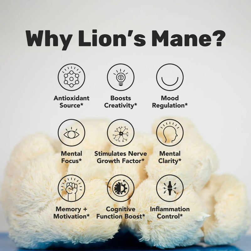 Load image into Gallery viewer, Staywyld Lion&#39;s Mane Gummies 30 Pack
