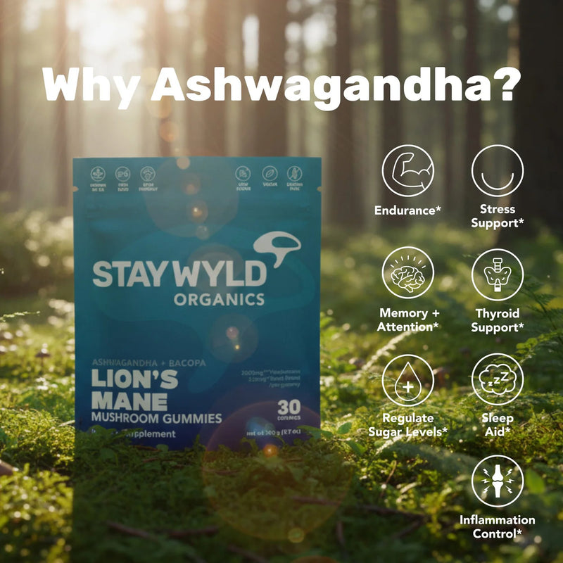 Load image into Gallery viewer, Staywyld Lion&#39;s Mane Gummies 30 Pack
