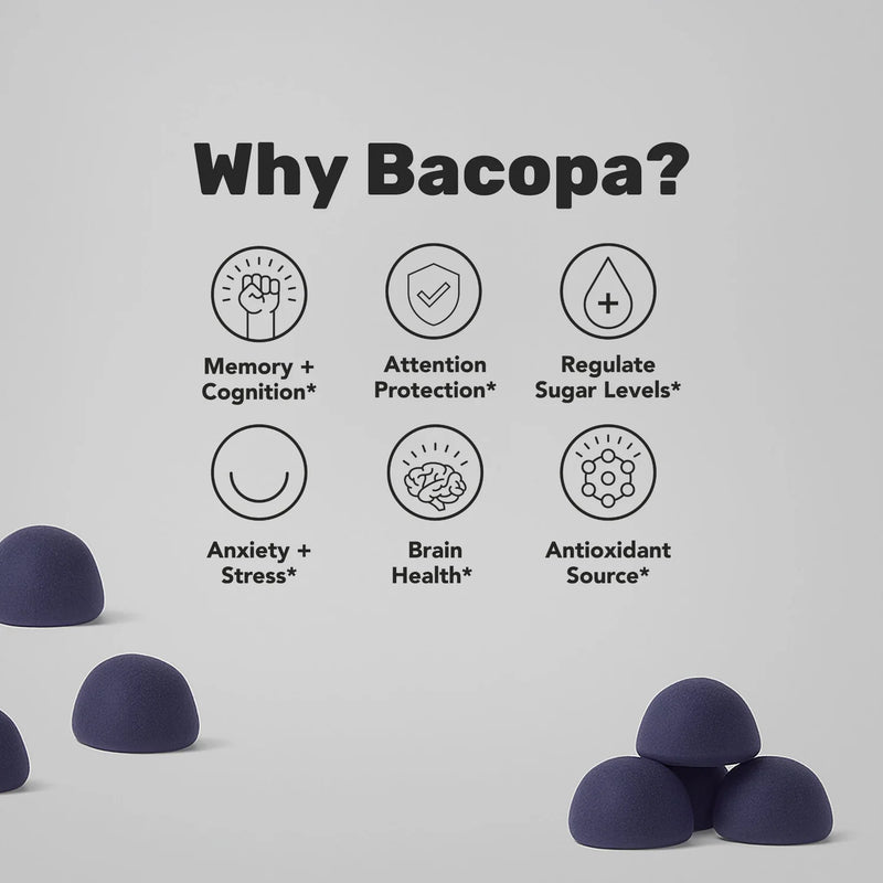 Load image into Gallery viewer, Staywyld Lion&#39;s Mane Gummies 30 Pack
