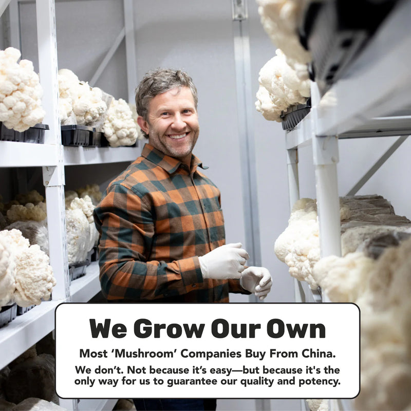 Load image into Gallery viewer, Staywyld Super 7 Immunity Gummies 30 Pack
