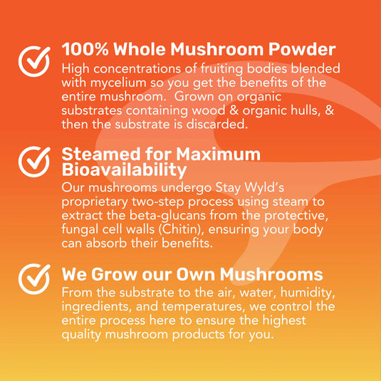 Staywyld Super 7 Immunity Gummies 30 Pack