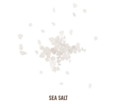 GoMacro MacroBars - Maple Sea Salt Box of 12